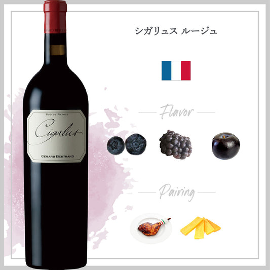 【2月13日(金)20:00〜】ベンチャーちょい飲み会vol.124 -ワインと自然派料理を愛でる会-